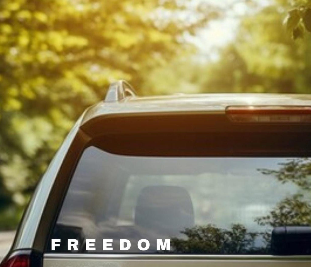 Freedom Car Decal, Charlie Kirk Car Decal, True American Hero Sticker, Patriotic Sticker for Car, Truck Window Decal, Laptop, Water Bottle