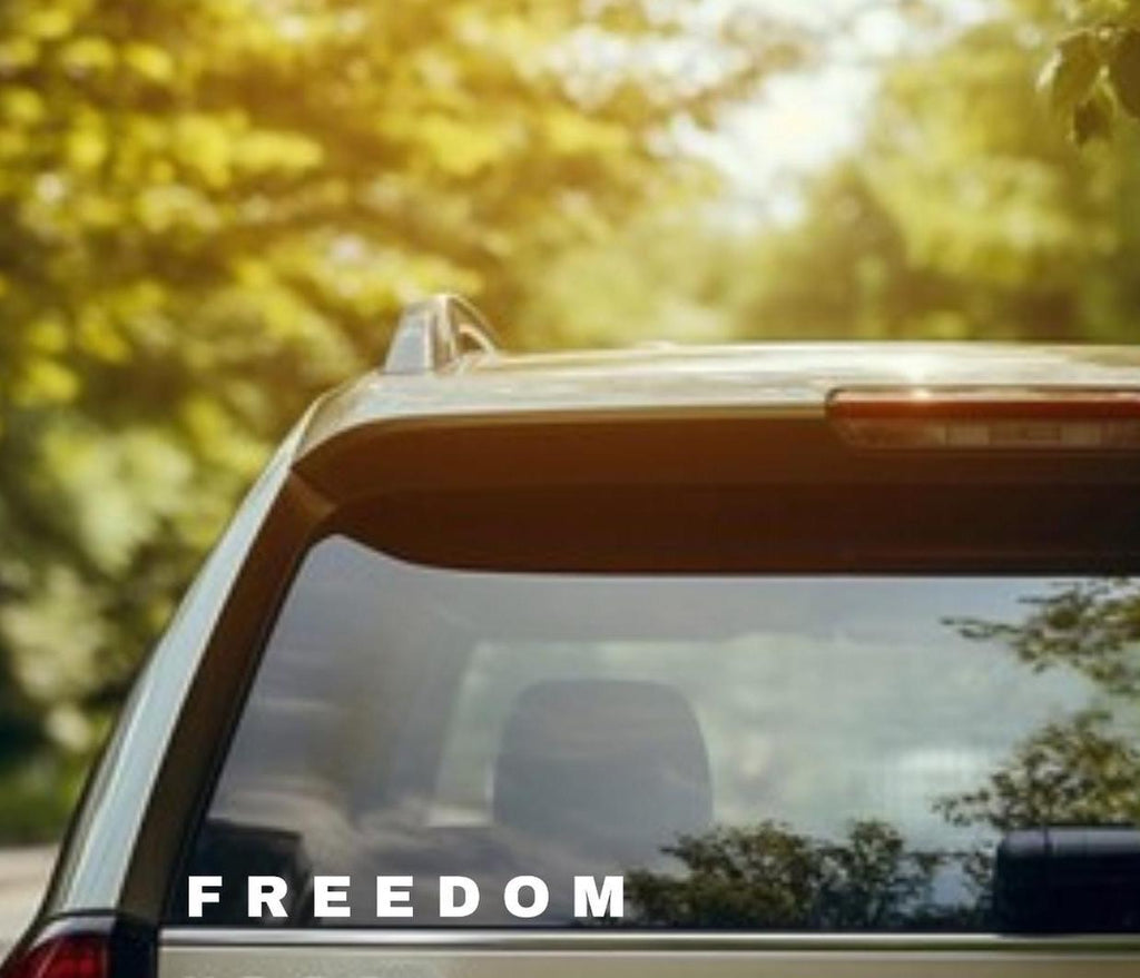 Freedom Car Decal, Charlie Kirk Car Decal, True American Hero Sticker, Patriotic Sticker for Car, Truck Window Decal, Laptop, Water Bottle