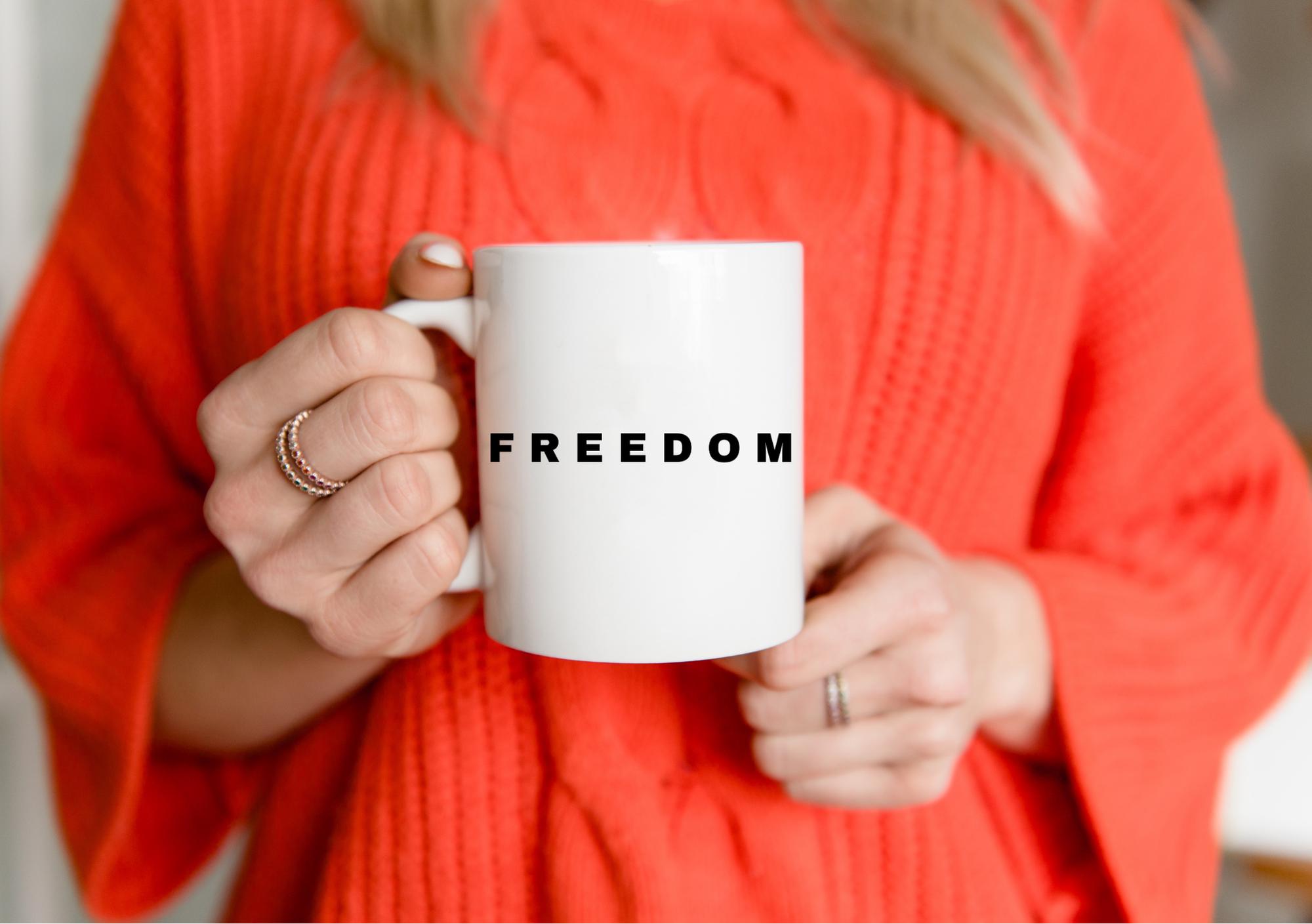 Freedom Car Decal, Charlie Kirk Car Decal, True American Hero Sticker, Patriotic Sticker for Car, Truck Window Decal, Laptop, Water Bottle