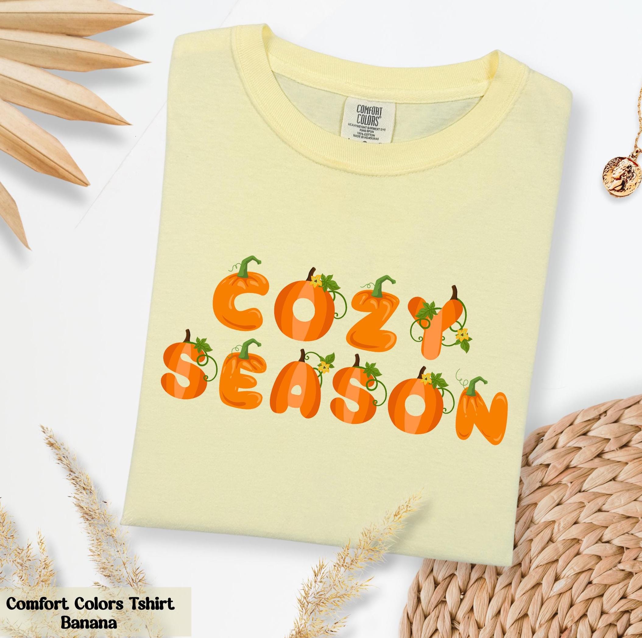 Comfort Colors Pumpkin Cozy Season Shirt, Pumpkin Shirt, Tis The Season, Fall Vibes Shirt, Autumn Gift for Her, Pumpkin Spice Latte Shirt