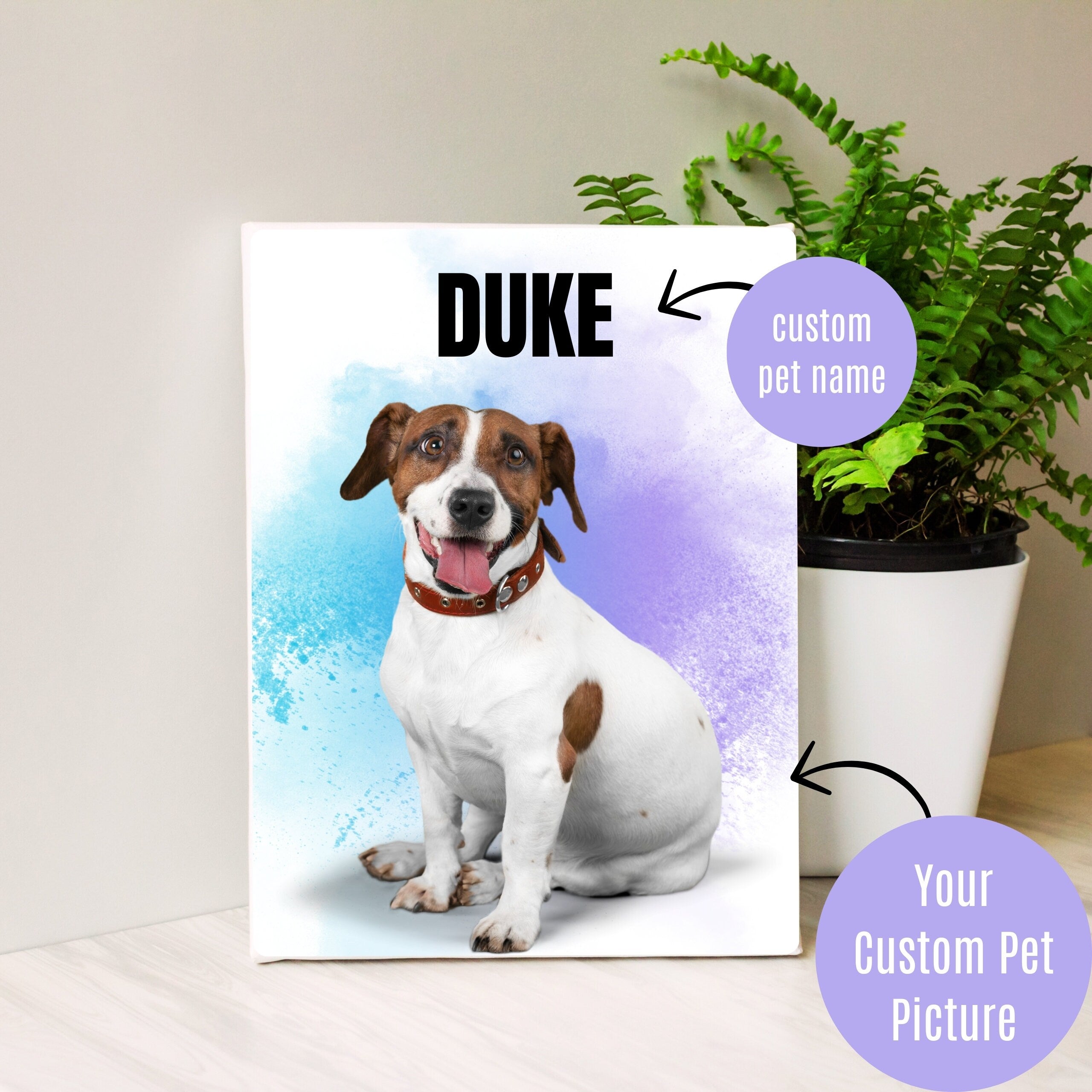 Custom Pet Photo and Name Print Canvas Upload Your Image, Framed Canvas Print, Custom pet canvas, pet portrait canvas, cat and dog canvas