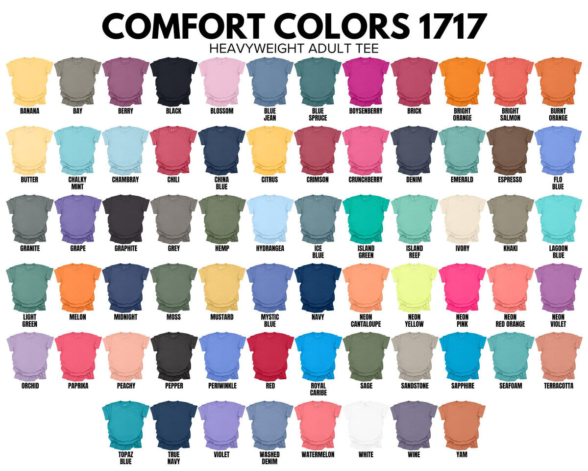 Comfort Colors Custom School Mascot Football Baseball Retro Shirt, Custom School Team Shirt, Custom Mascot T-shirt, Personalized Team Shirt